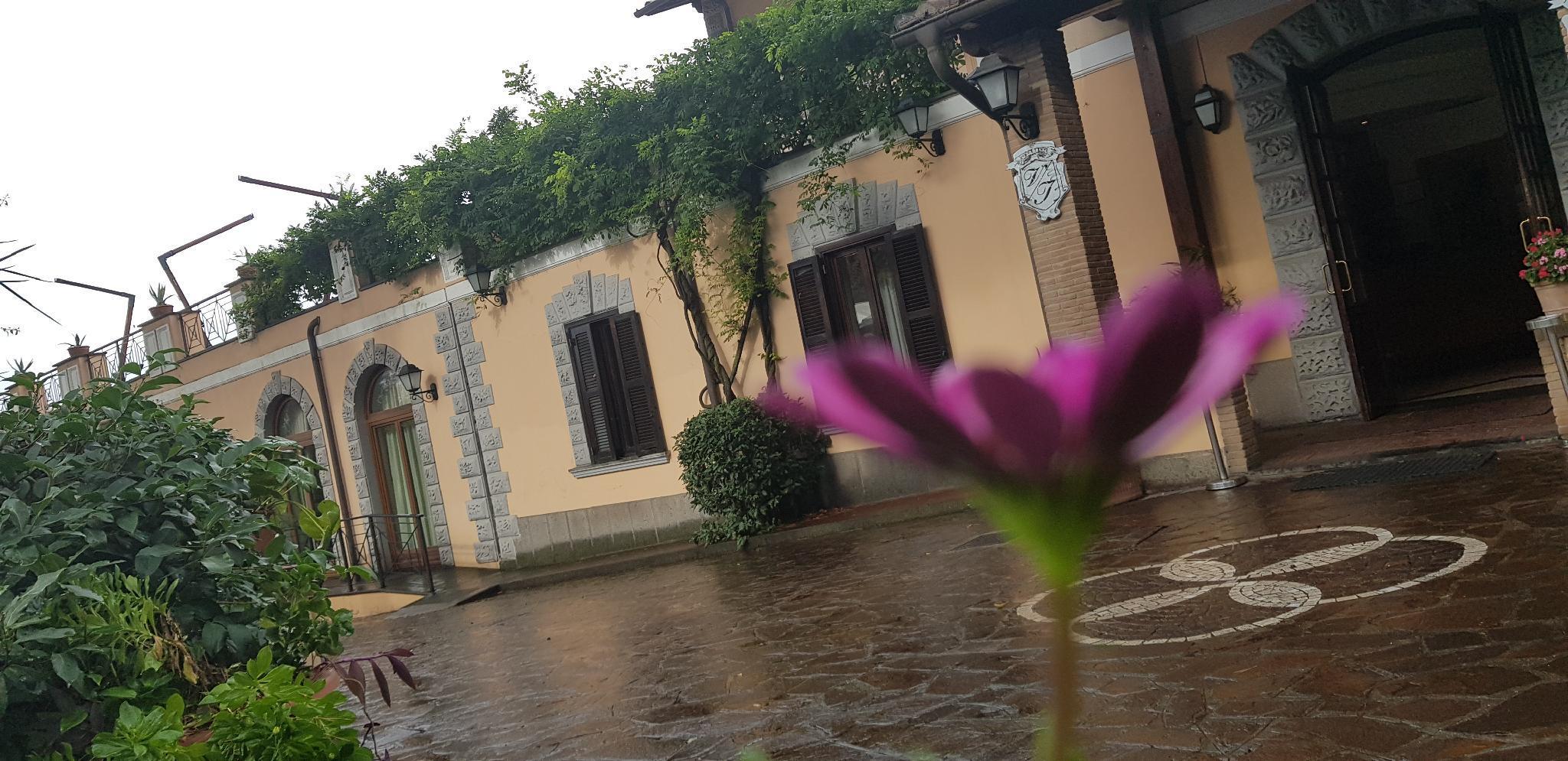 Villa Icidia Frascati Exterior foto